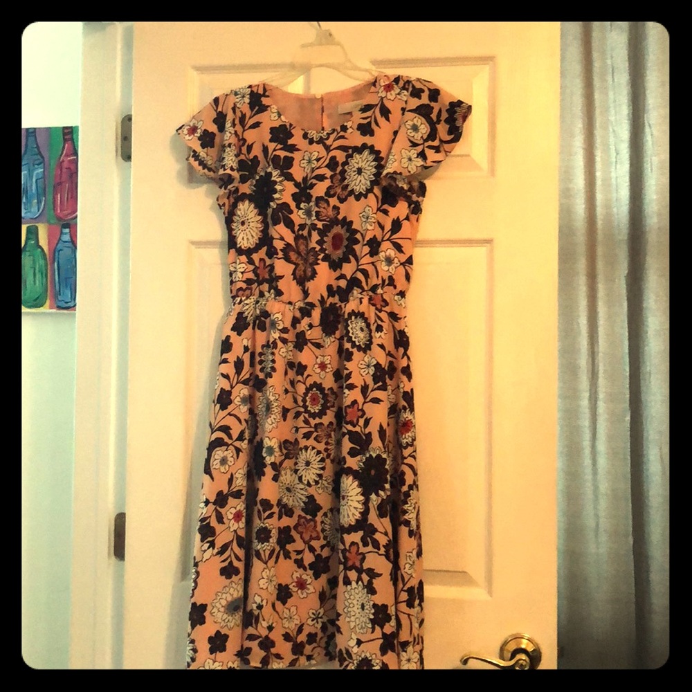 Flutter Sleeve Midi LOFT dress